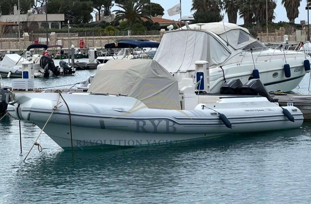 bat international 29 evolution