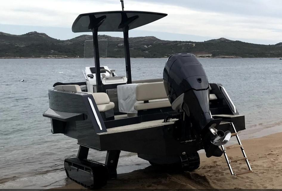 iguana 29
