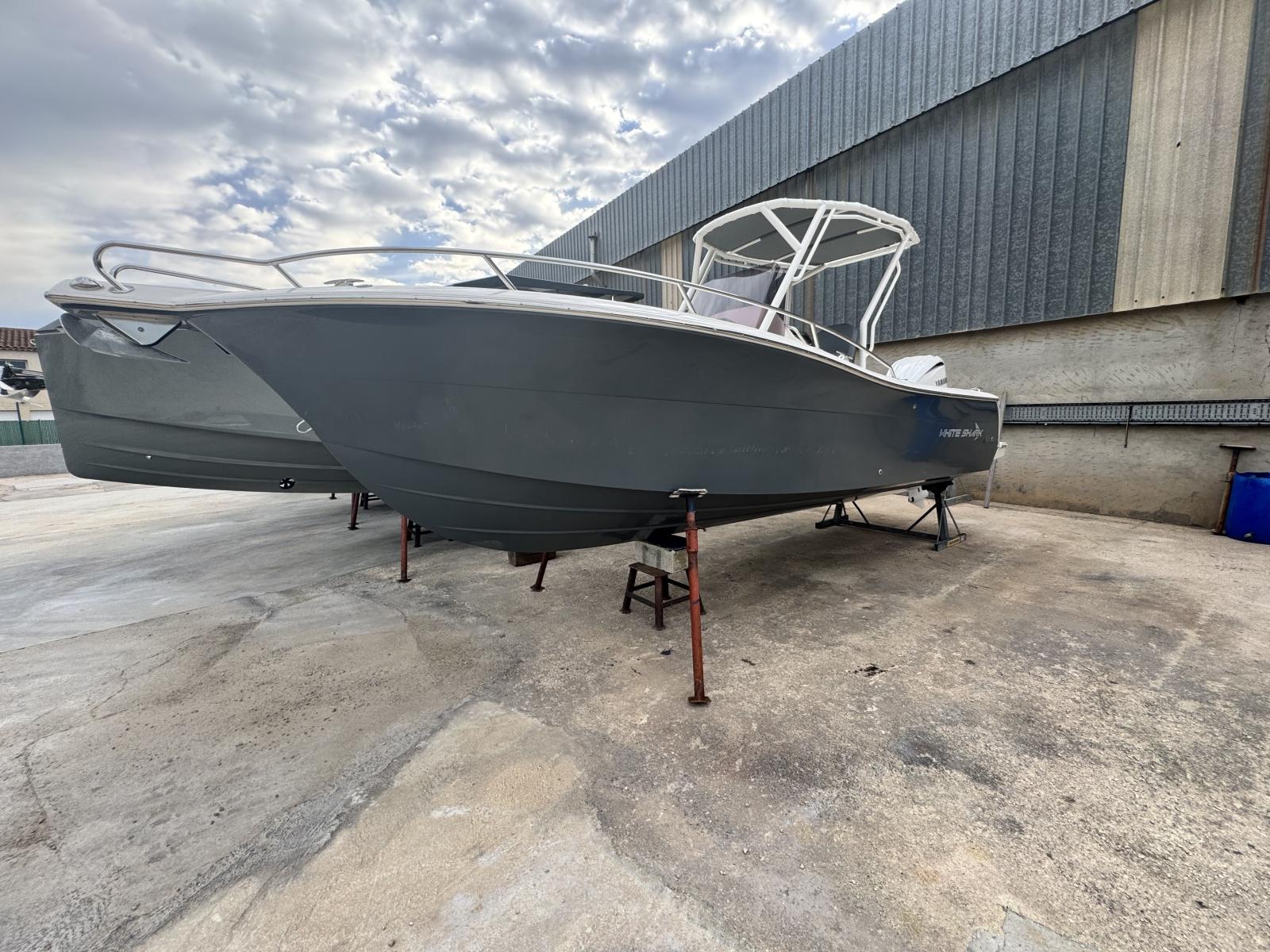 white shark 240 cc evo