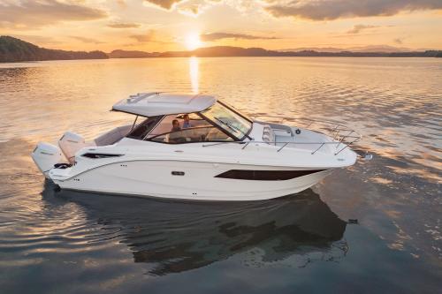 Sea ray sundancer 320 hors bord