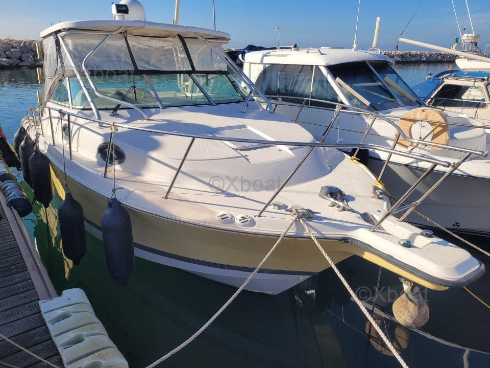 wellcraft Wellcraft coastal 290