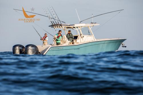 Grady white boats 336 canyon