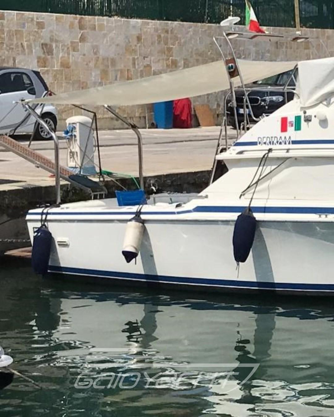 bertram yacht 28' sf