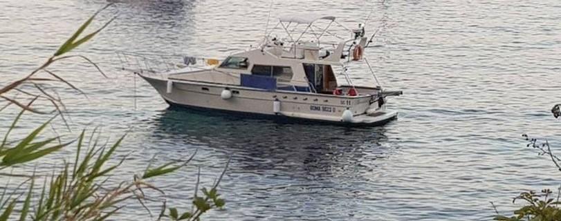 dellapasqua Dc 11 s flying bridge