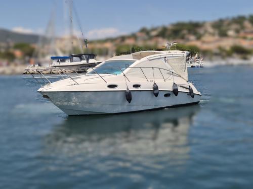 Sealine sc 29