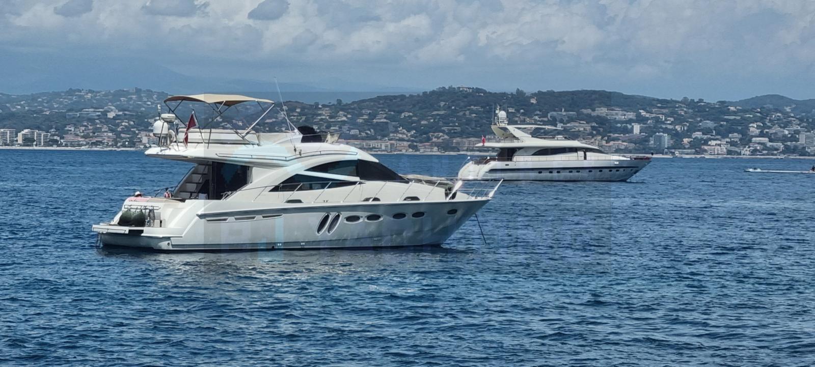 sealine T50