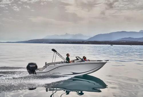 Bayliner m 19