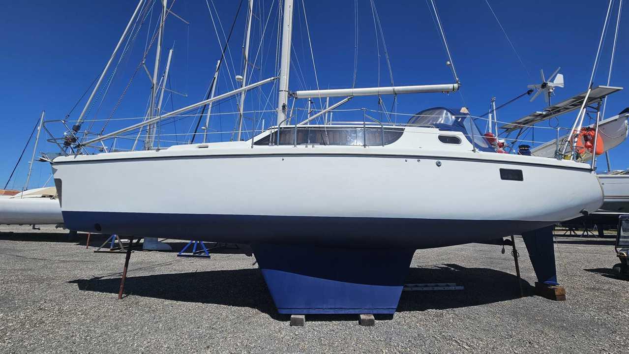 wrighton Bi loup 36