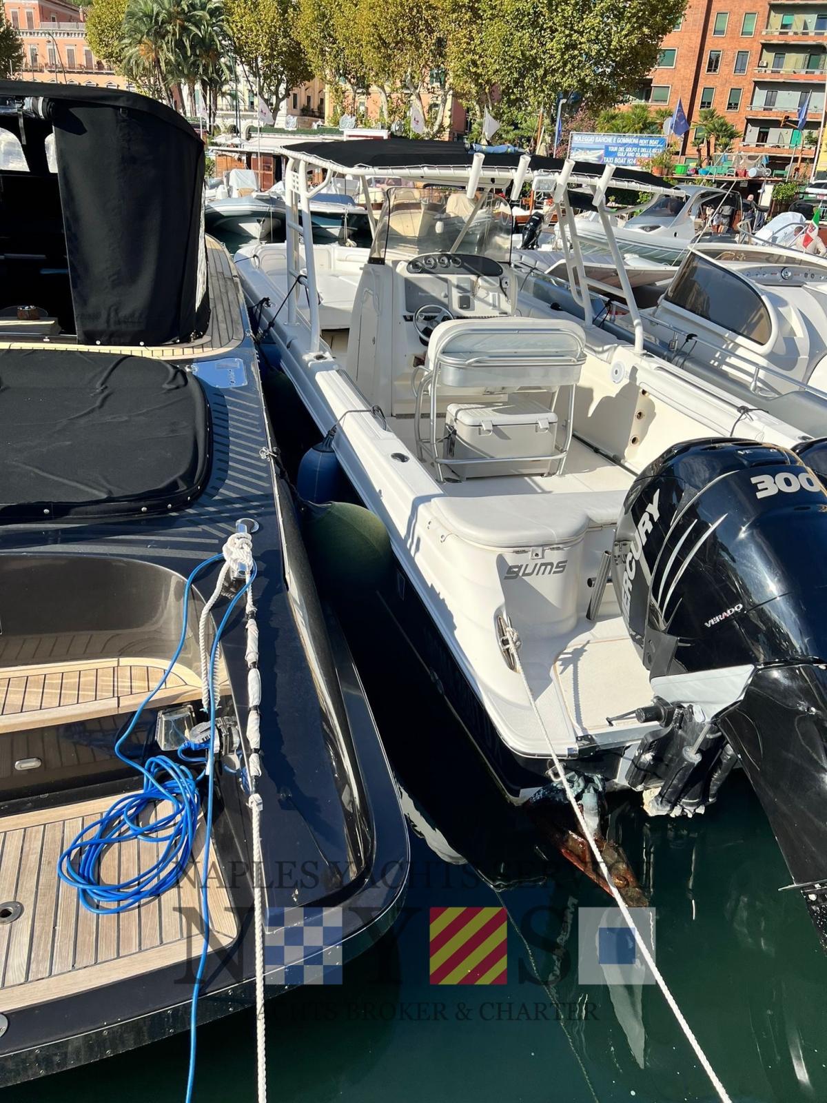 wellcraft Scarab 35 tournament