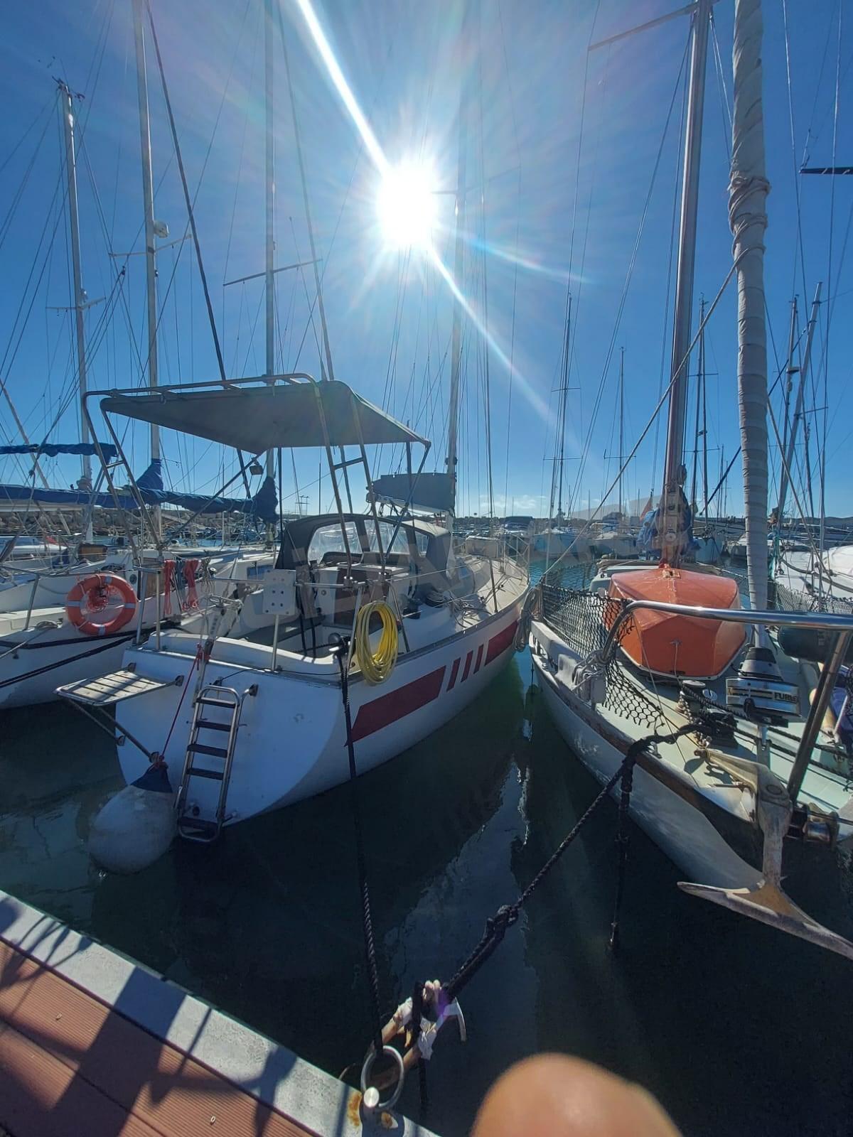 nordcantieri Panda 33
