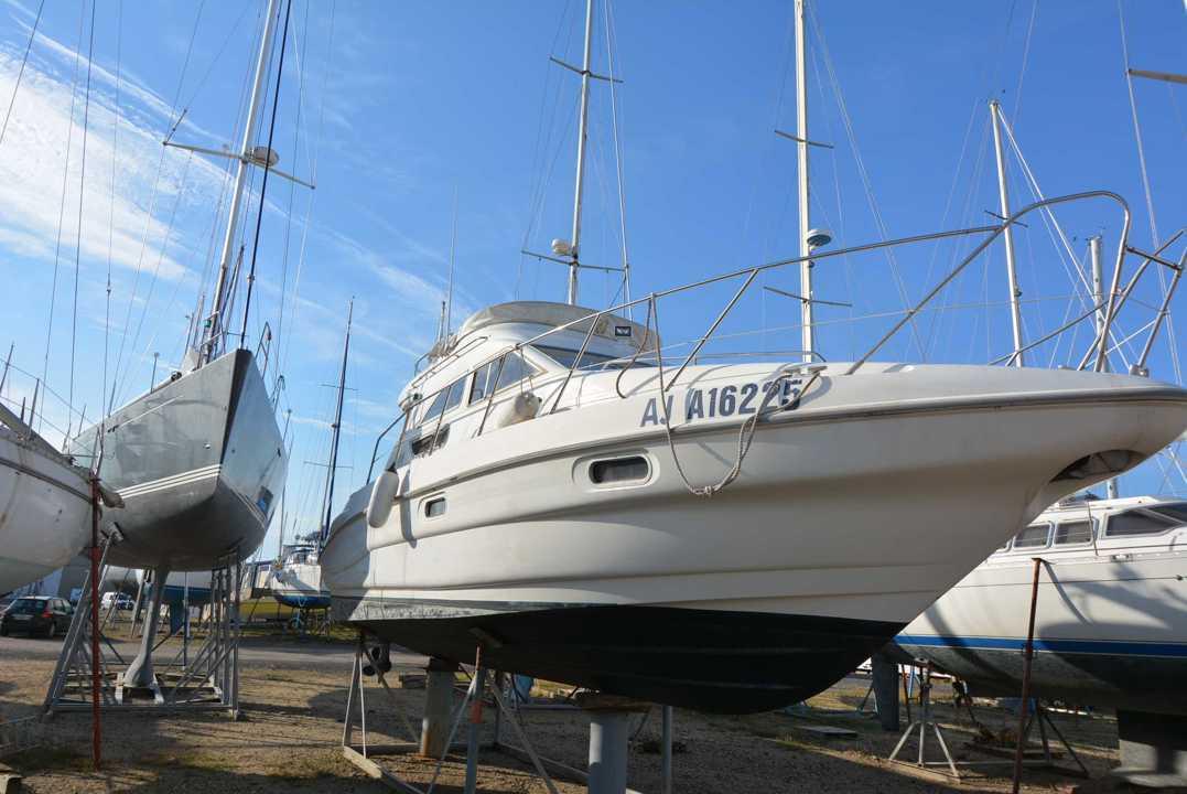 sealine 330 statesman