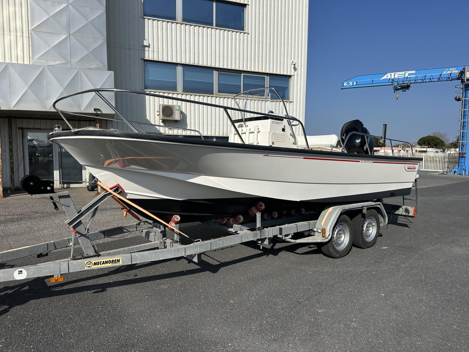 boston whaler 190 montauk