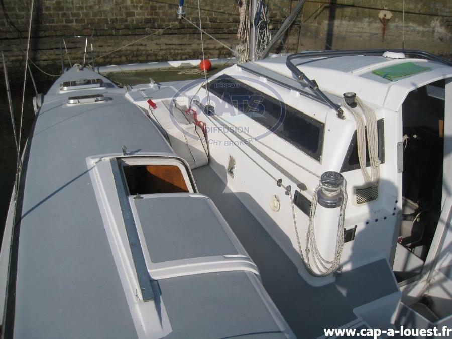 edel Edel cat 35