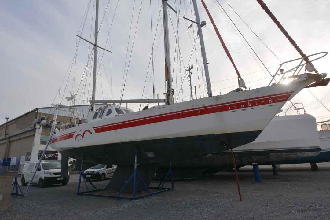 meta Dalu 47