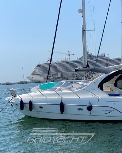 Sessa marine oyster 35