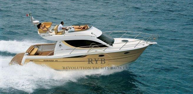 sessa marine Dorado 36
