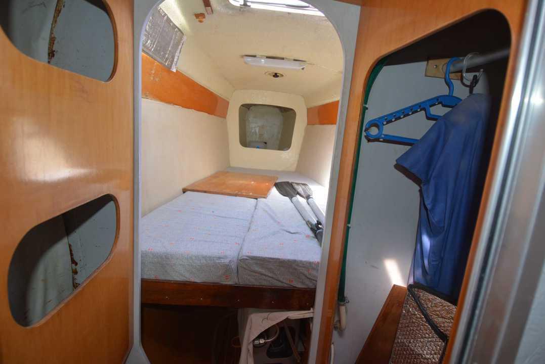 edelcat Edelcat 35