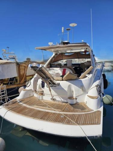 Sealine s43