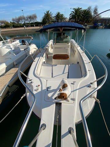 boston whaler 26' outrage