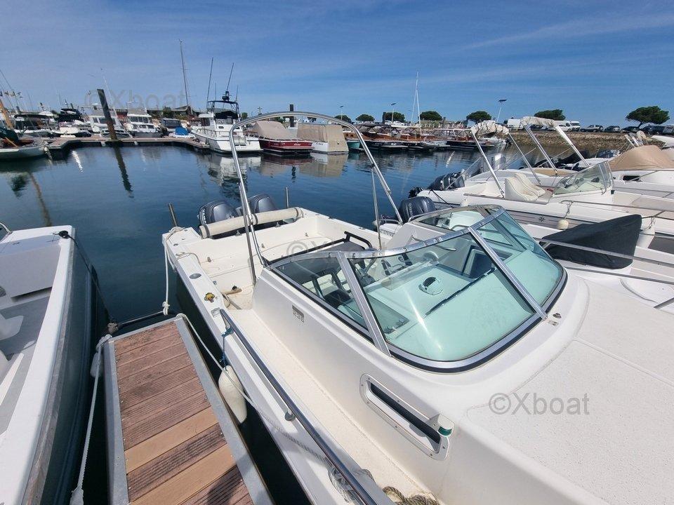 kelt White shark 236
