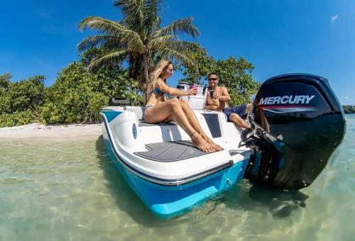 Bayliner element 17
