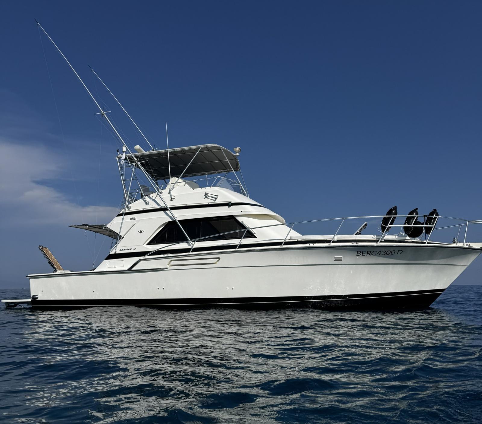 bertram yacht 43' convertible