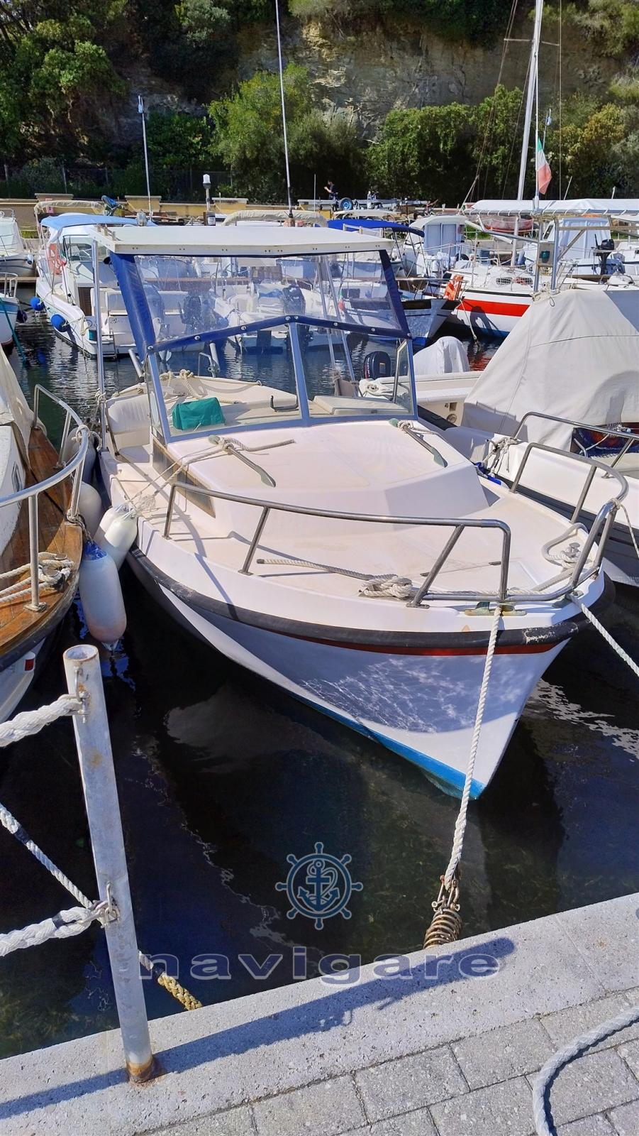 gavazzi luciano Alga 6