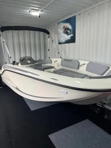 Bayliner m 15