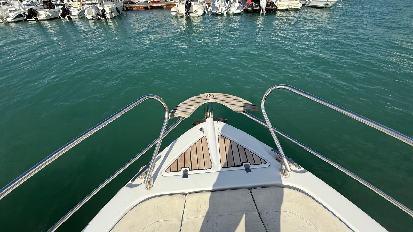 ranieri international Shadow 30