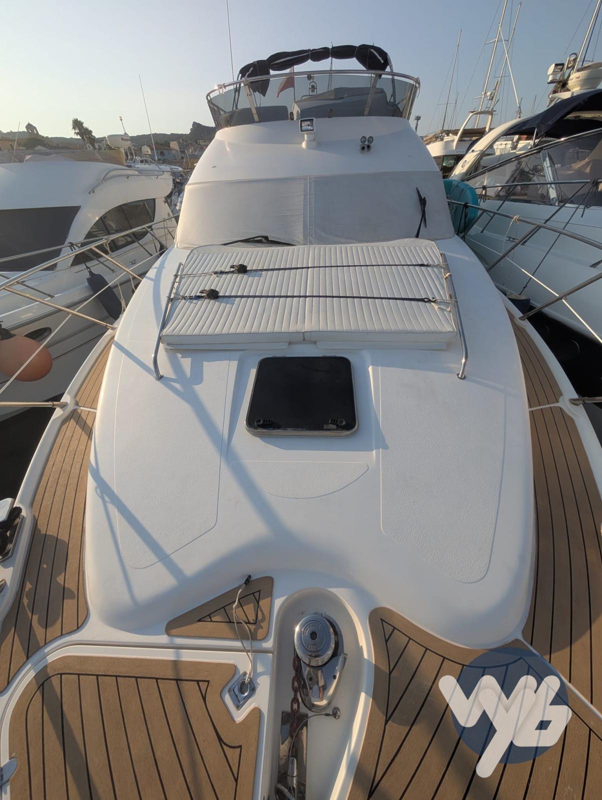 sealine F 43