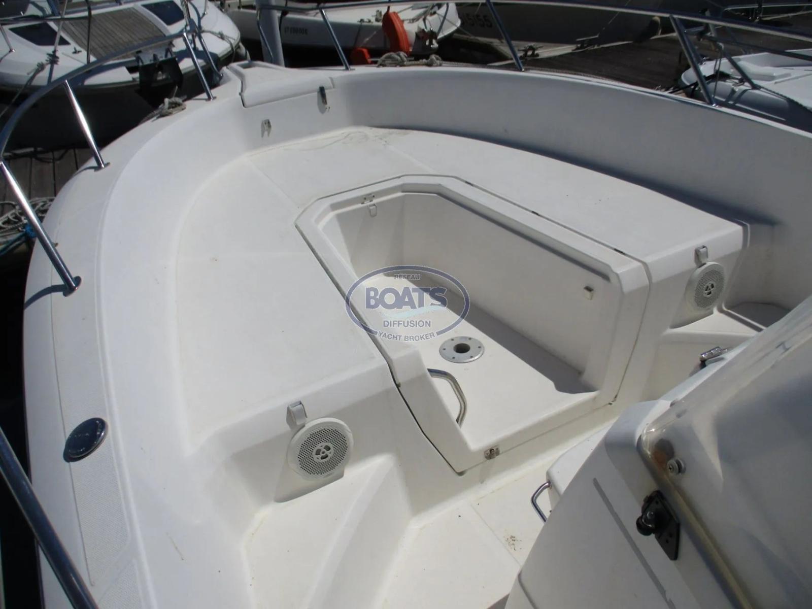 white shark White shark 226