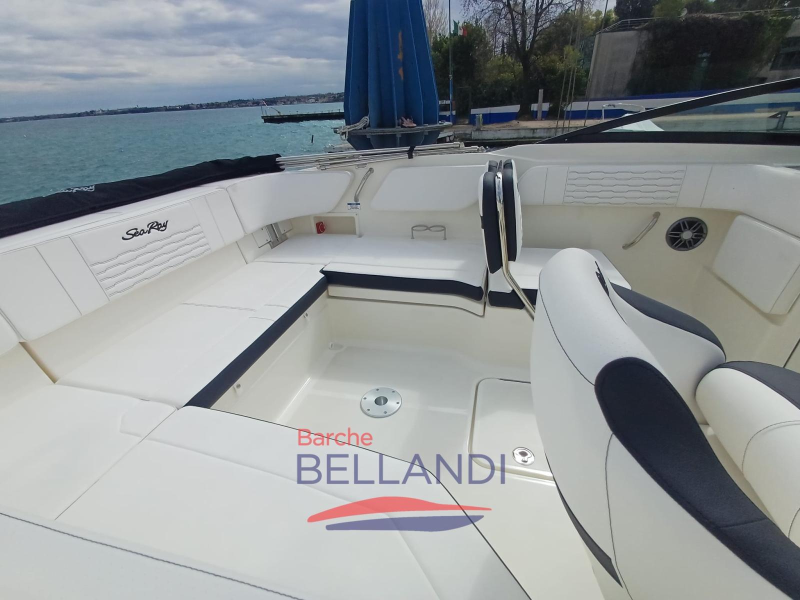 sea ray Spx 210 outboard