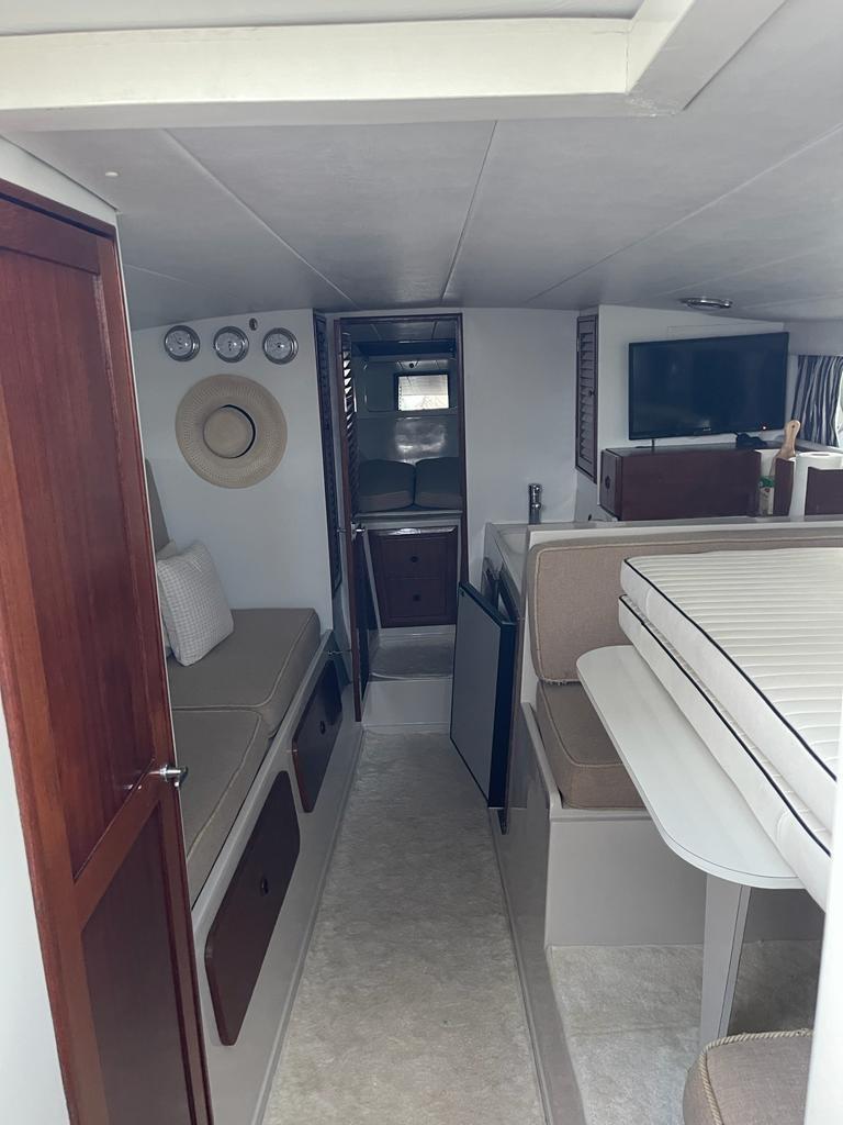 tornado 38 sport