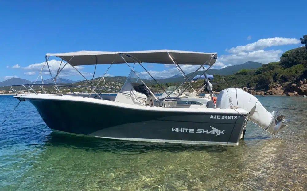 white shark White shark 226