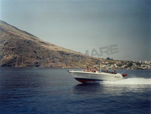 ilver Duke 31