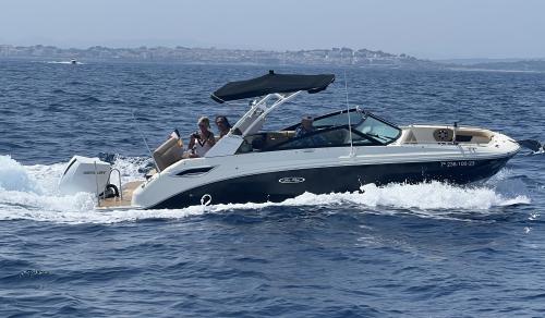 Sea ray 250 sdx ob