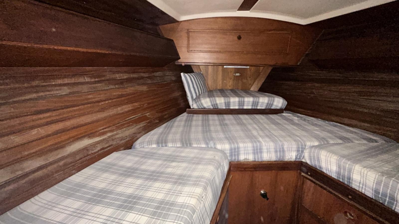 wauquiez Amphitrite 43