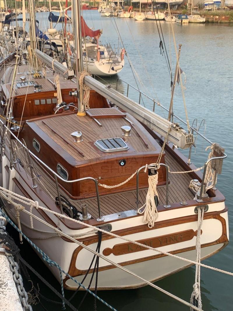 albatros deniz Albatros 49