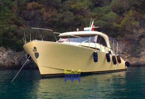 Mochi craft 51 dolphin