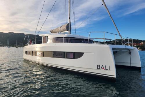 Bali catsmart