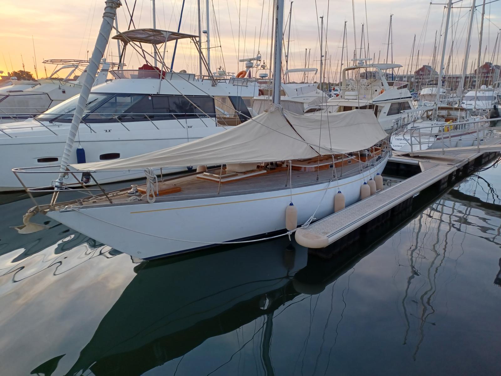 Sciarrelli 82