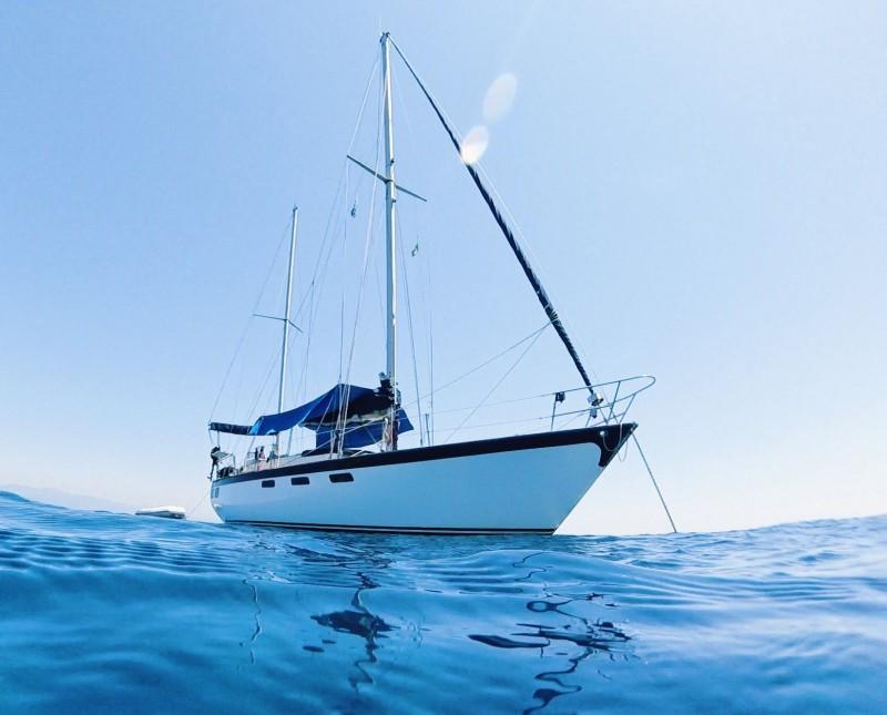 oyster marine Oyster 39