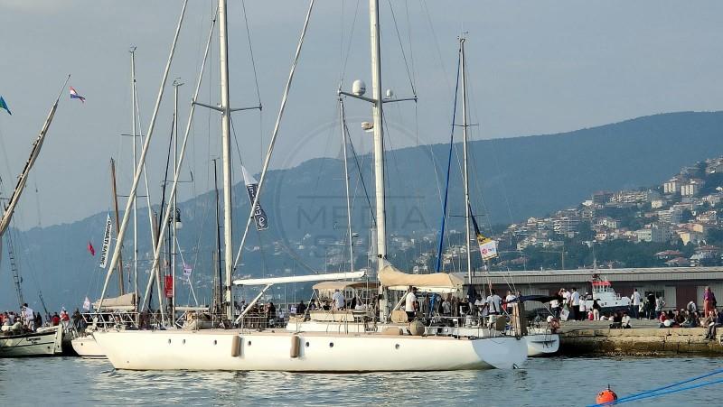 stain Goletta oceanica