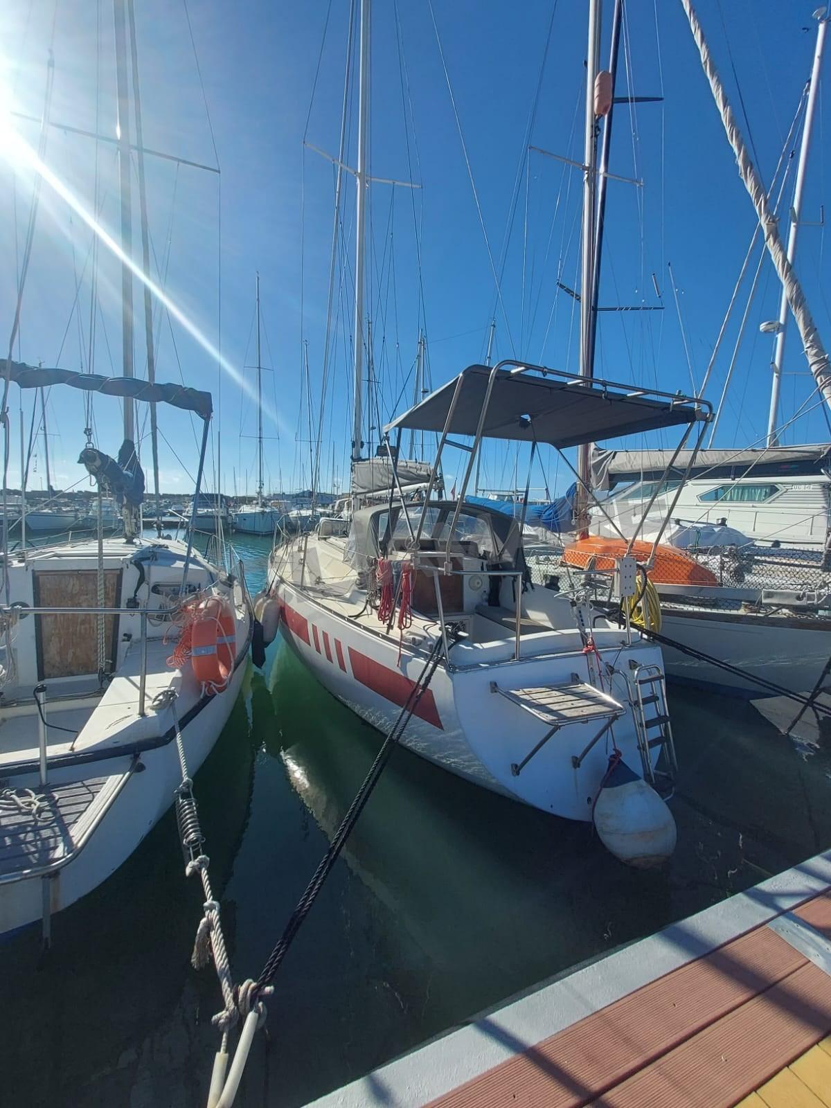 nordcantieri Panda 33