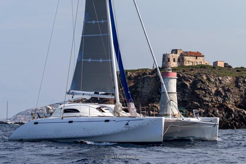 latini Cat 43