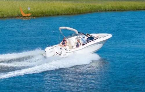 Scout boats 220 dorado