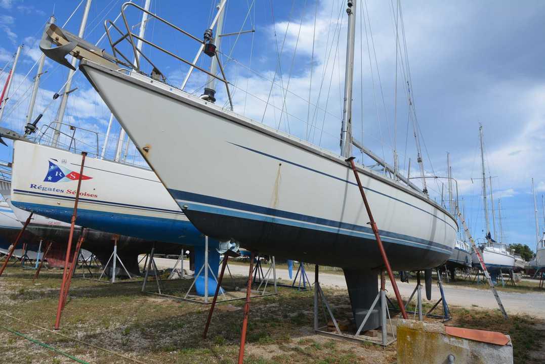 Luffe 46