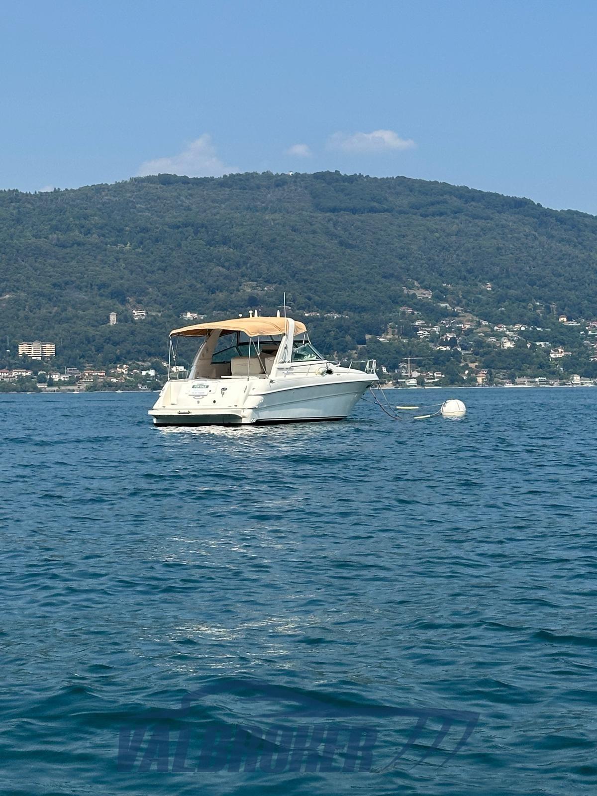 sea ray 310 sundancer