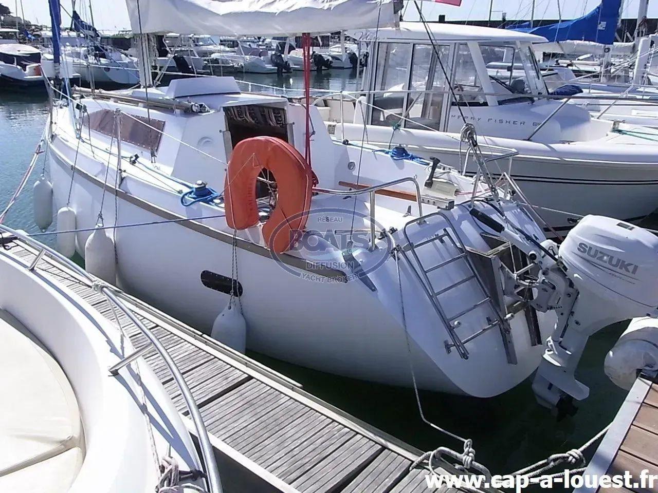 wrighton Biloup 765