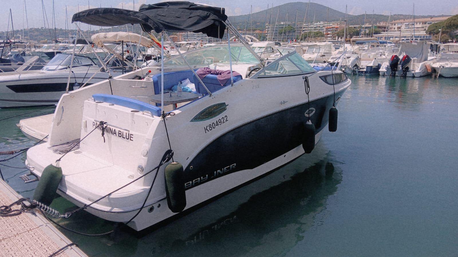 bayliner 255